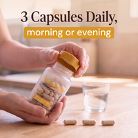 Magnesium With Adaptogens